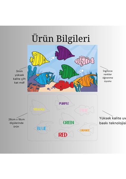 Egitici Ahsap Ingilizce Renkler Bul Tak Oyunu, Egitici Oyuncak, Montessori Egitim Oyuncak