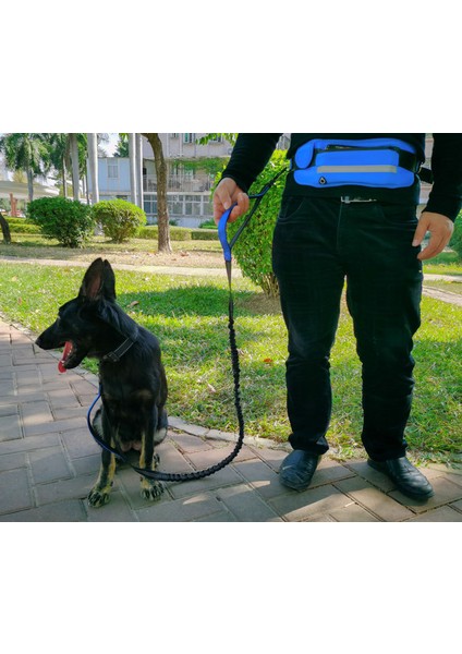 Köpekler Için Koşu Ipi, Eller Serbest, Koşu, Yürüyüş, Kemer Bandı, Stressönleyici, Dolaşımda, 160 – 220 cm (Yurt Dışından) fiyatları
