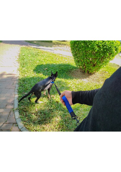 Köpekler Için Koşu Ipi, Eller Serbest, Koşu, Yürüyüş, Kemer Bandı, Stressönleyici, Dolaşımda, 160 – 220 cm (Yurt Dışından) modelleri