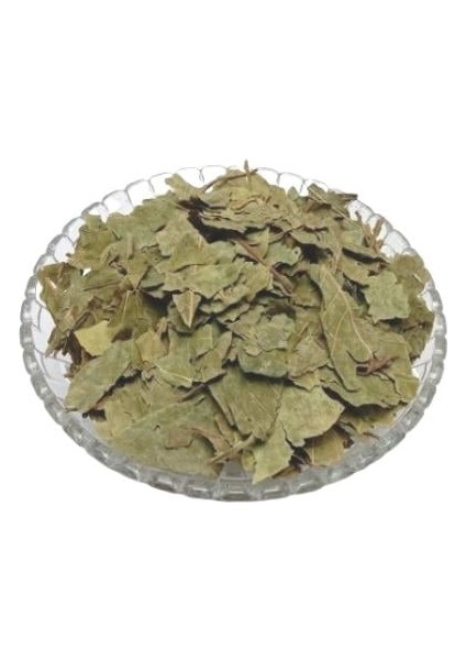 Ayva Yaprağı 100 Gr