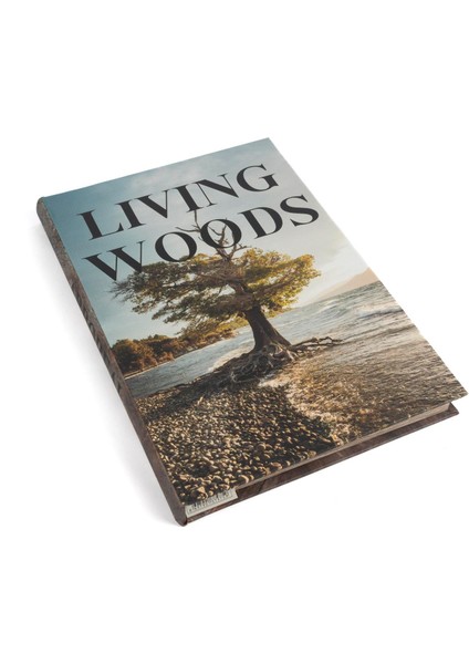 Mikasa Moor Living Woods Kitap Kutu 35X24X3CM