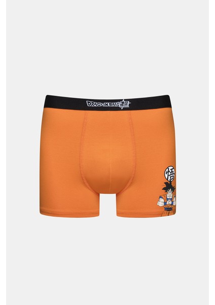 Dragon Ball Çok Renkli 2li Boxer