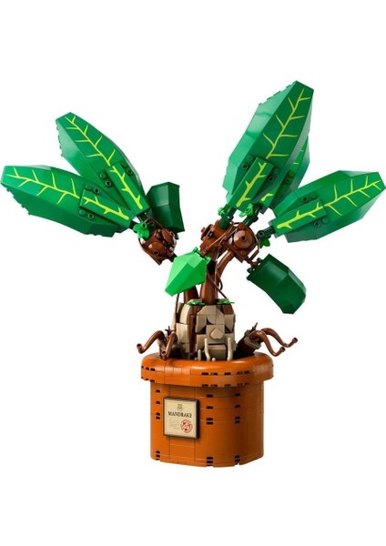 76433 LEGO Harry Potter - Adamotu - Mandrake 579 Parça +10 Yaş