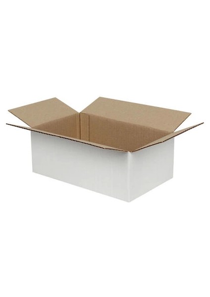 25 x 15 x 10 cm Tek Oluklu Koli - Beyaz