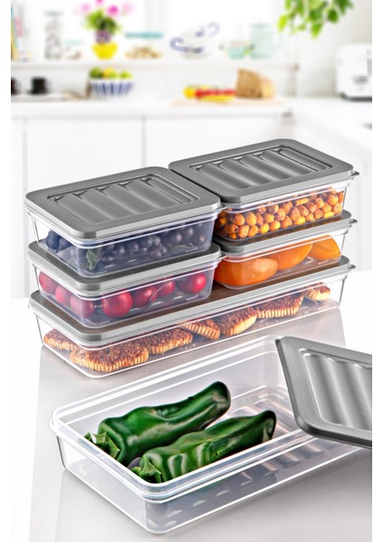 4'lü Set Freshbox Mikrodalga ve Difrize Uygun Saklama Kabı Gri