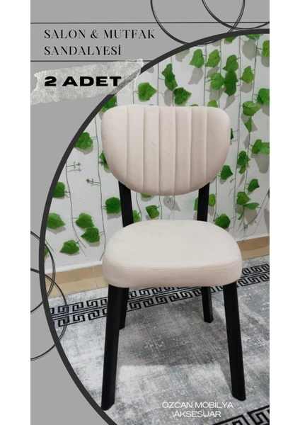 2 Adet Metal Elma Mutfak Salon Sandalyesi Kafe Restoran Sandalyesi Metal Demonte Sandalye