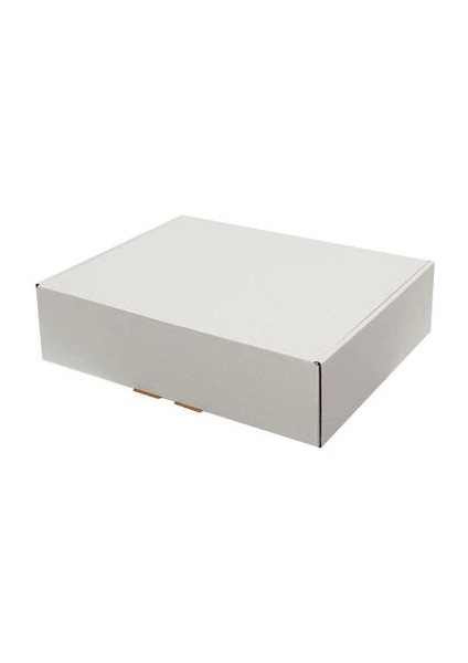 40 x 30 x 10 cm Kilitli Kutu - Beyaz