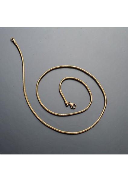 Ince Sarı Erkek Çelik Zincir Kolye Takı Aksesuar K24 T5 fiyatları