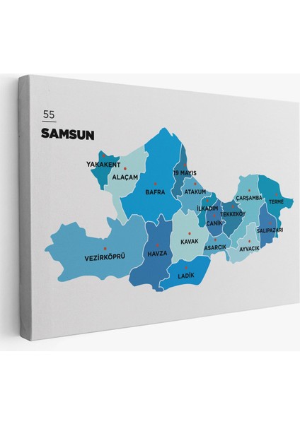 1 Parça Samsun Ili ve Ilçeler Haritası Dekoratif Kanvas Duvar Tablosu 1447 Modern Çok Renkli Kanvas