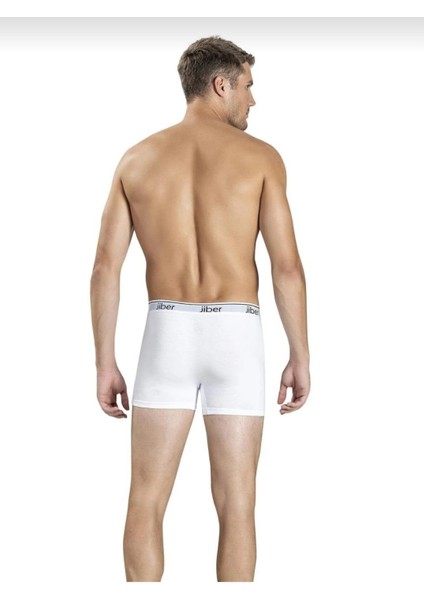 156 Erkek Boxer Likralı Şort 3 Adet fiyatları