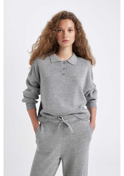 Coool Regular Fit Polo Yaka Düğmeli Basic Düz Triko Kazak C9223AX24WN modelleri