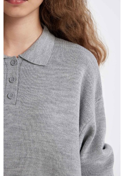 Coool Regular Fit Polo Yaka Düğmeli Basic Düz Triko Kazak C9223AX24WN indirimleri