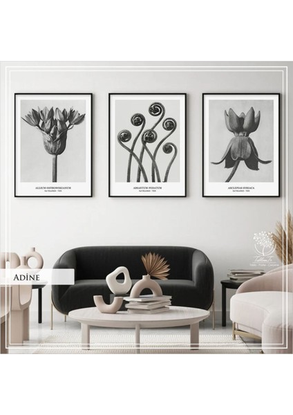 Metal Çerçeveli Gerçek Camlı Tablo Adinea 3 Lü Set