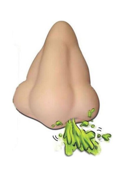 Komik Burun Şekilli Ev Banyo Duş Sabunluk Depolama Suction Kanca ile Yeni (Yurt Dışından) fırsatları