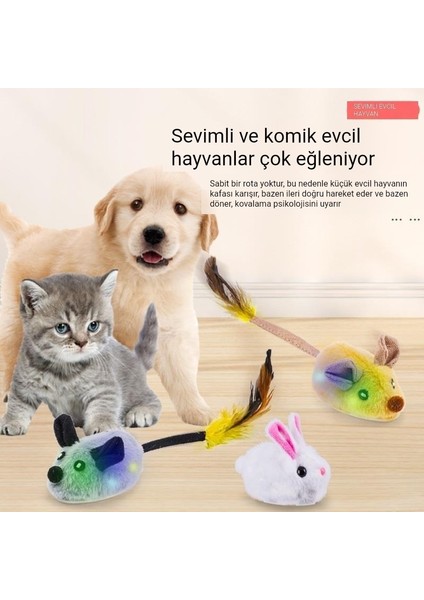 Kendi Kendini Uyaran ve Can Sıkıntısını Gideren Kedi Oyuncağı, Simüle Edilmiş Ses Peluşu, Akıllı Kedi Alay Çubuğu, Otomatik Kedi Alay Eseri, Elektrikli Fare (Yurt Dışından) fiyatları