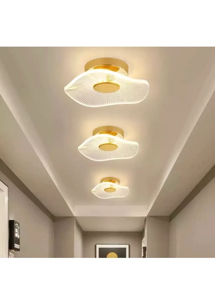 Modern Luxury Tavana Sıfır Led Avize Şık Görsellik Katar