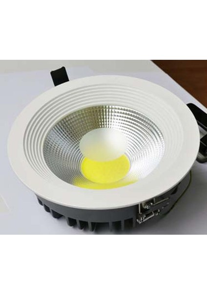 20W Cob Downlight Beyaz Kasa Günışığı RS-CLS-006