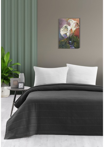 Pike Esse Tek Kişilik Antrasit