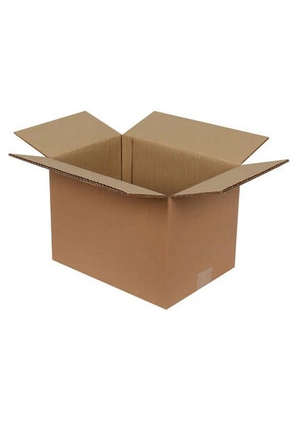 30 x 20 x 25 cm Çift Oluklu Koli