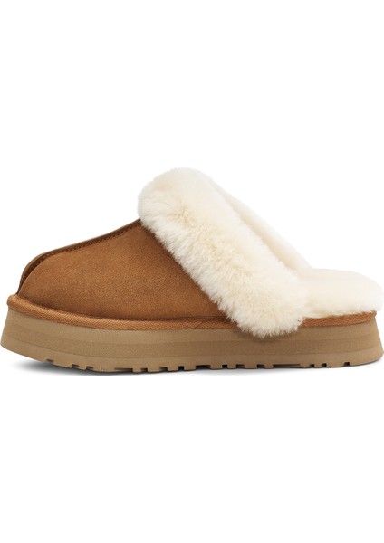 Kadın Terlik 1122550 Ugg W Dısquette Chestnut (Taba) modelleri