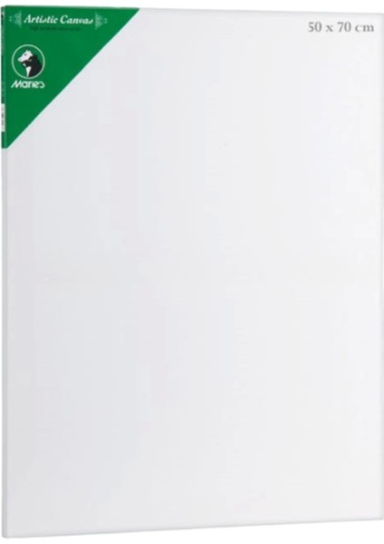 Canvas Tuval E5309 50 x 70 cm