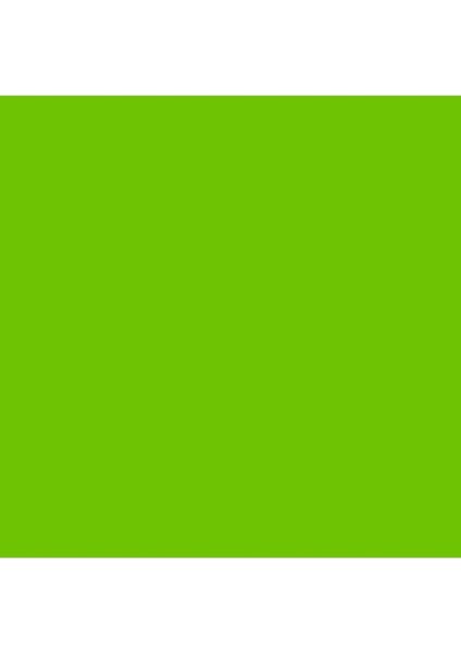 Professional Akrilik Markör Ince Uç 2mm Vivid Lime Green 740 fiyatları