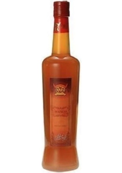 Mango Şurubu 75 Cl. fiyatları