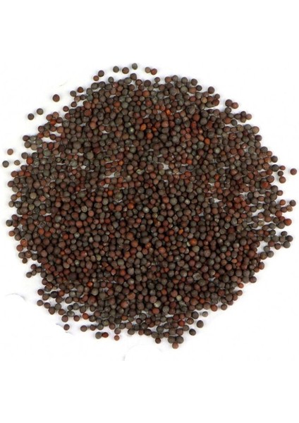 Kahverengi Hardal Tohumu 100 gr