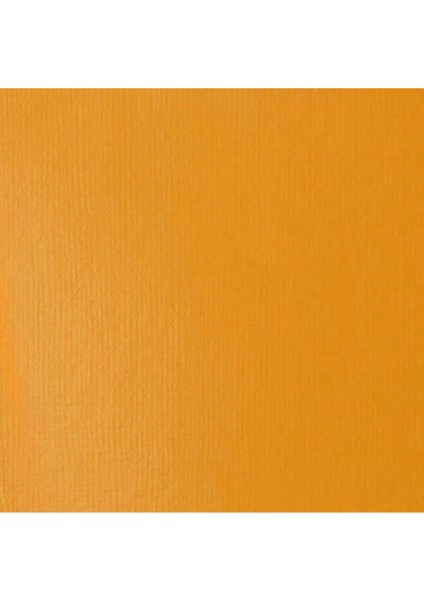 Basics Akrilik Boya 118 ml Naples Yellow 601 fiyatları