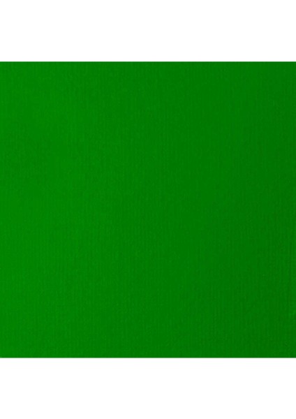 Basics Akrilik Boya 118 ml Light Green Permanent 312