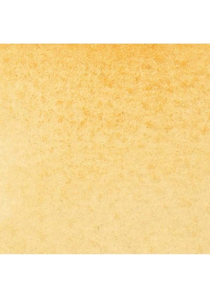 Promarker Watercolour Raw Sienna 552 fiyatları