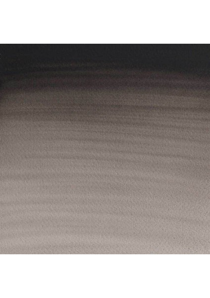 Cotman Sulu Boya 8ml Ivory Black 331