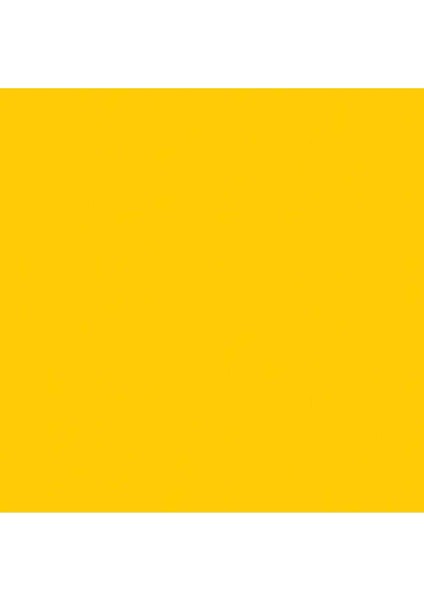 Professional Akrilik Sprey Boya 400 ml Cadmium Yellow Medium Hue 830