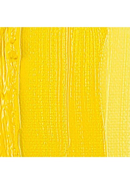 Yağlı Boya 40 ml Permanent Yellow Light fiyatları