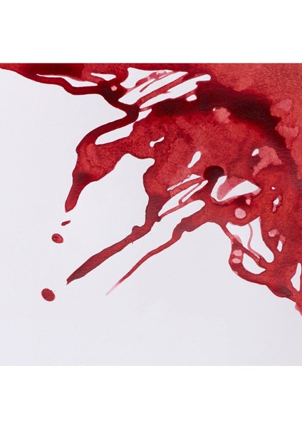 Drawing Ink Çizim Mürekkebi 14ML Brick Red 040 fiyatları