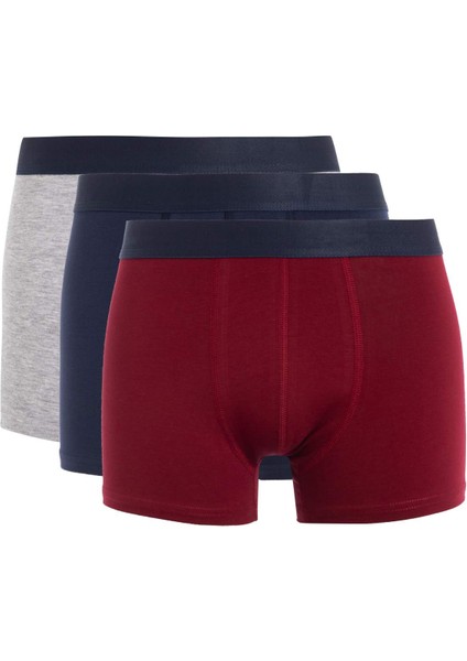 Regular Fit 3'lü Boxer D7469AX24AU