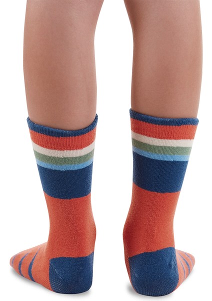 Hayvanlar Erkek Çocuk 2'li Soket Çorap fiyatları