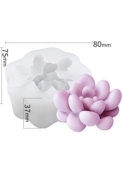 ZW-200 Stili Gıda Grade Silikon 3D Sukulent Bitki Kalıbı Kendin Yap Hediye Kek Pişirme Sabun Çikolata Buz Dekorasyon Reçine Sanat Kalıpları (Yurt Dışından)