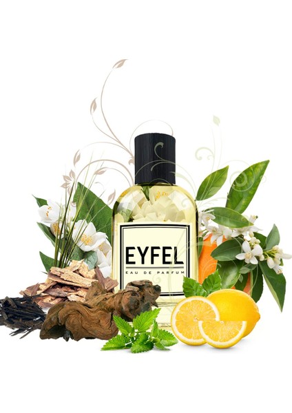 W201 Kadın Parfüm 50 ML