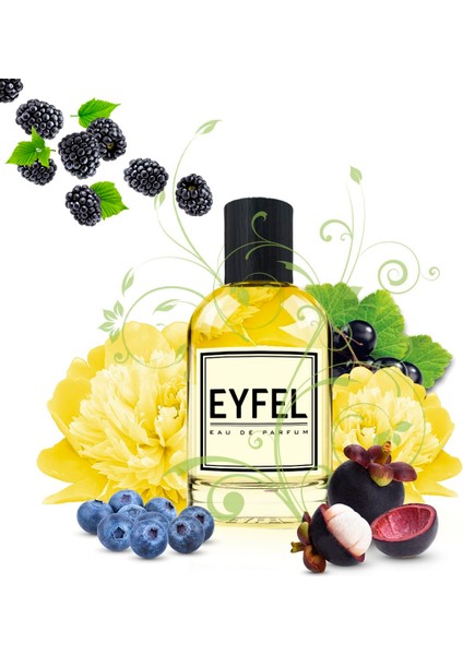 W209 Kadın Parfüm 50 ML