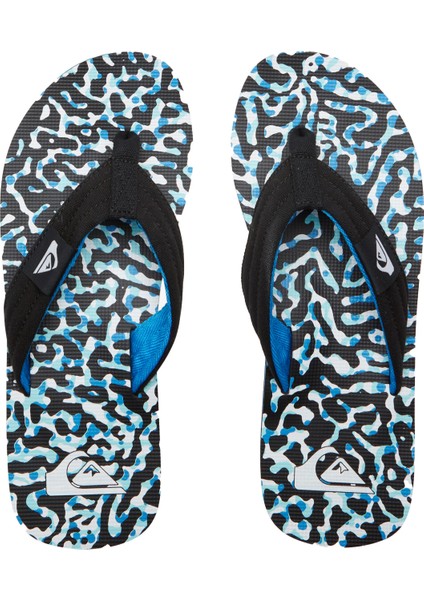 Molokaı Layback Iı modelleri