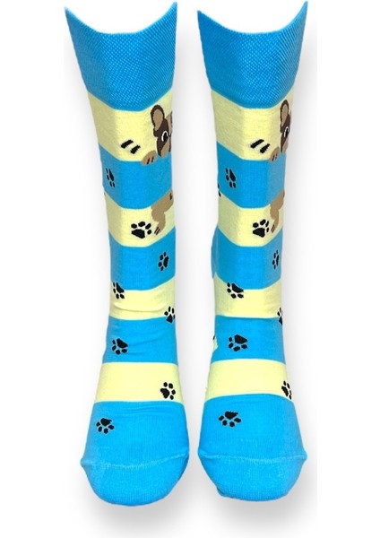 Tekli Mavi Renkli Bay/bayan Unisex Esnek Nem Alabilen Pamuklu Köpek Desenli Soket Çorap modelleri