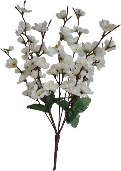 9 Dal Bahar Dalı
