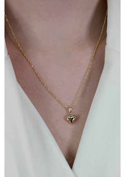 14 Ayar Altın Singapur Zincir Kalp Kolye