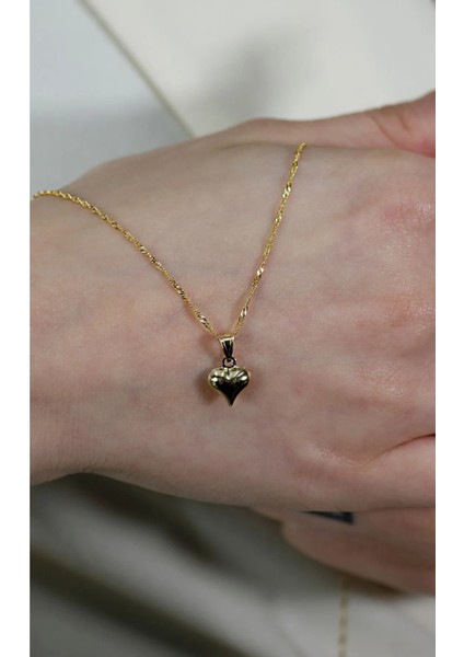 14 Ayar Altın Singapur Zincir Kalp Kolye modelleri