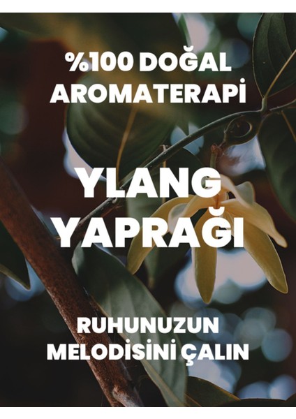 Her Damla Saflık: Saf, Seyreltilmemiş Doğal Aromaterapi Ylang Ylang Uçucu Yağı 10 ml