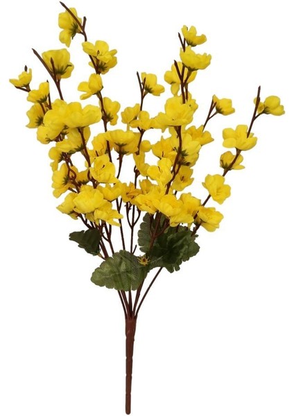 9 Dal Bahar Dalı fiyatları