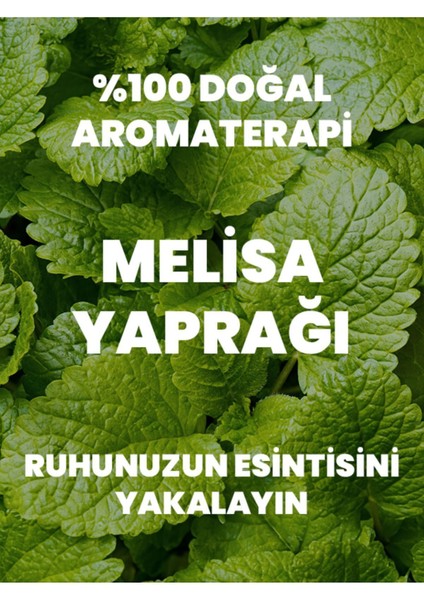 Her Damla Saflık: Saf, Seyreltilmemiş Doğal Aromaterapi Melisa Uçucu Yağı 10 Ml