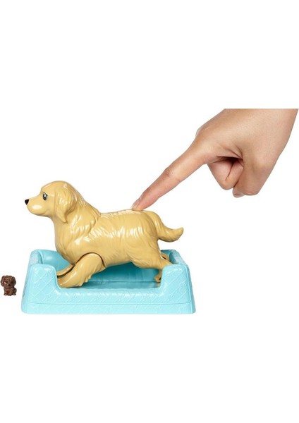 Barbie Köpekli Yataklı Mini Yavru Köpek Oyun Seti indirimleri