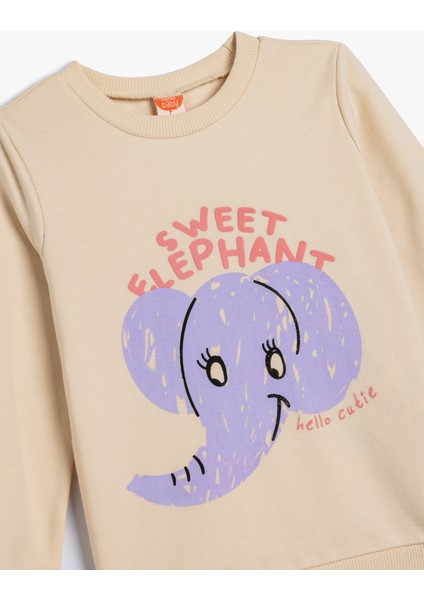 Sweatshirt Fil Baskılı Bisiklet Yaka Pamuklu Şardonlu modelleri